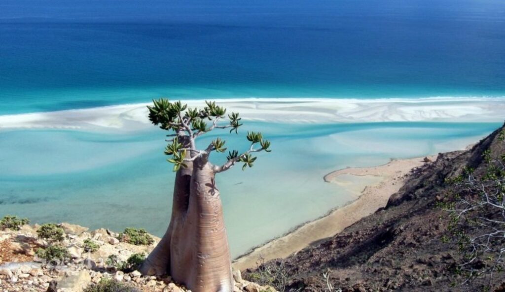 Socotra Island: A Natural Wonder